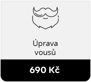 Praha úprava vousů 2023